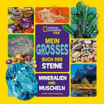 portada Mein Großes Buch der Steine, Mineralien und Muscheln (en Alemán)