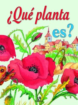 portada ¿que planta es? (in Spanish)
