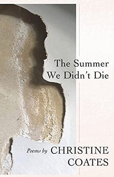 portada The Summer we Didn'T die (in English)
