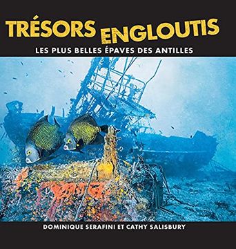 portada Trésors Engloutis: Les Plus Belles Épaves des Antilles (in French)