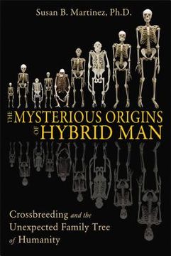 portada the mysterious origins of hybrid man: cross-breeding and the unexpected family tree of humanity (en Inglés)