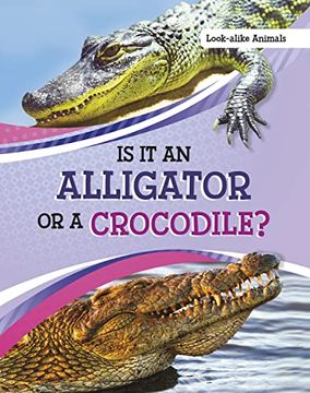 portada Is it an Alligator or a Crocodile? (Paperback)