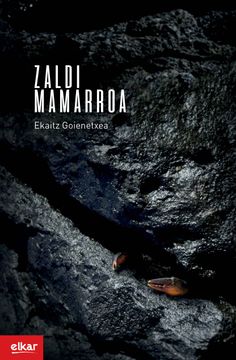 portada Zaldi Mamarroa: 357 (Literatura) (in Basque)