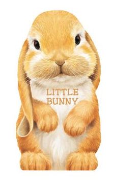 portada bunny (en Inglés)