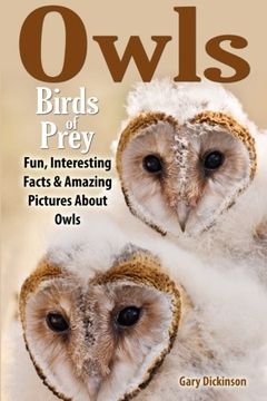 portada Owls: Birds Of Prey