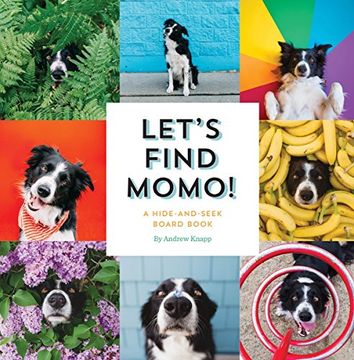 portada Let's Find Momo! A Hide-And-Seek Board Book 