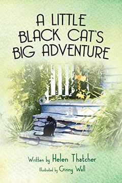 portada A Little Black Cat's Big Adventure (en Inglés)