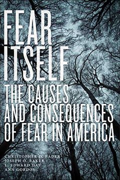 portada Fear Itself: The Causes and Consequences of Fear in America (en Inglés)