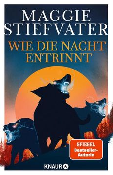 portada Wie die Nacht Entrinnt (in German)