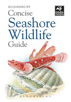 portada Concise Seashore Wildlife Guide (The Wildlife Trusts) (en Inglés)