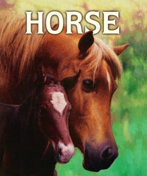 portada Horse (en Inglés)