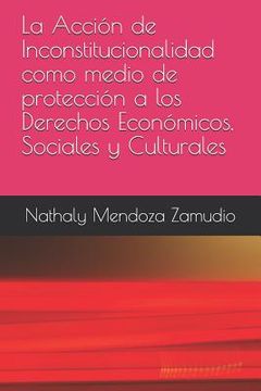 portada La Acción de Inconstitucionalidad Como Medio de Protección a Los Derechos Económicos, Sociales Y Culturales