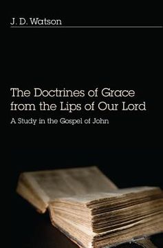 portada the doctrines of grace from the lips of our lord: a study in the gospel of john (in English)