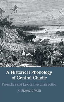 portada A Historical Phonology of Central Chadic (en Inglés)