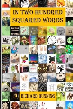 portada In Two Hundred Squared Words (in English)