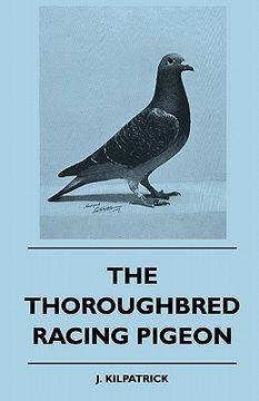 portada the thoroughbred racing pigeon