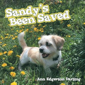 portada Sandy's Been Saved (en Inglés)