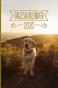portada Tageskalender 2020: Terminkalender ca DIN A5 weiß über 370 Seiten I 1 Tag eine Seite I Jahreskalender I Labrador I Hunde (in German)