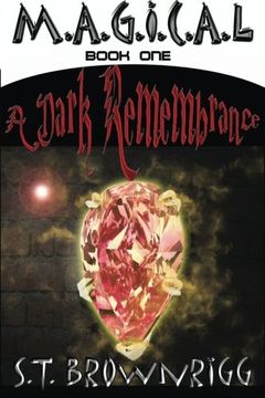 portada A Dark Remembrance (MAGICAL) (Volume 1)