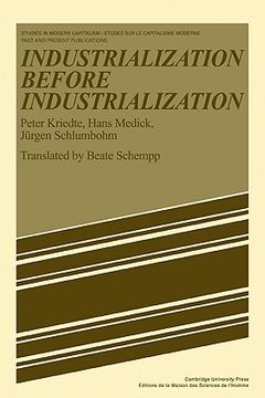 portada Industiarlization Before Industiarlization (Studies in Modern Capitalism) (en Inglés)