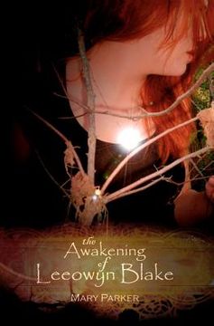 portada the awakening of leeowyn blake (en Inglés)