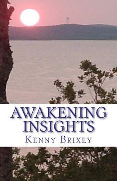 portada awakening insights (en Inglés)