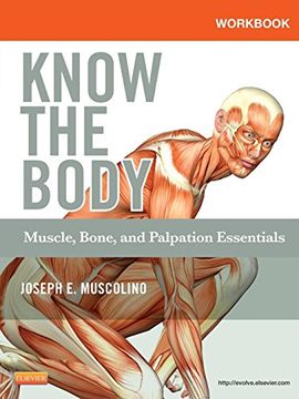 portada Workbook for Know the Body: Muscle, Bone, and Palpation Essentials (en Inglés)
