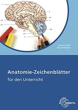 portada Anatomie Zeichenblätter: Für den Unterricht (en Alemán)