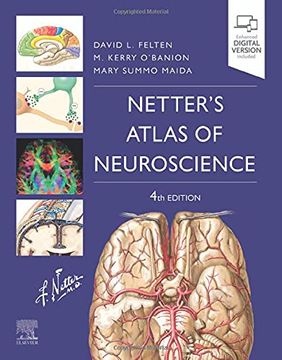 portada Netter'S Atlas of Neuroscience (Netter Basic Science) (en Inglés)