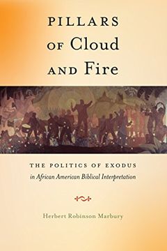 portada Pillars of Cloud and Fire: The Politics of Exodus in African American Biblical Interpretation (Religion and Social Transformation) (en Inglés)