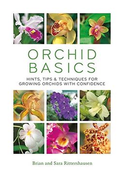 portada Orchid Basics (Pyramids)