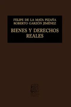 portada Bienes y Derechos Reales / 13 ed. / pd.
