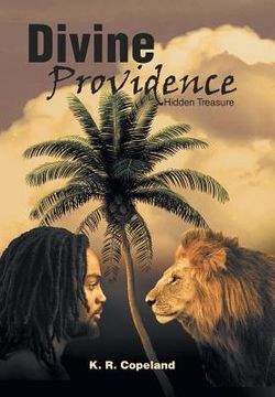 portada Divine Providence: Hidden Treasure (en Inglés)