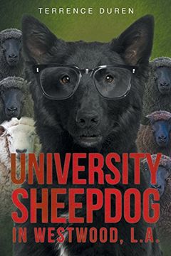 portada University Sheepdog in Westwood, L.A.