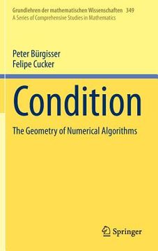 portada Condition: The Geometry of Numerical Algorithms (en Inglés)