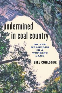Undermined in Coal Country: On the Measures in a Working Land (en Inglés)