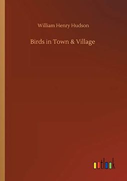 portada Birds in Town Village (en Inglés)