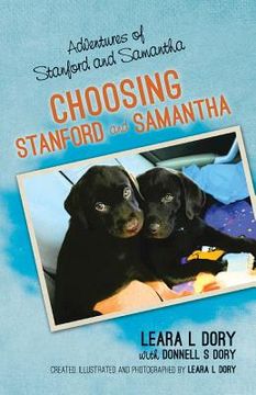 portada Adventures of Stanford and Samantha: Choosing Stanford and Samantha (en Inglés)