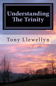 portada understanding the trinity (en Inglés)