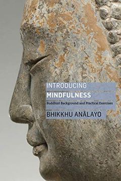portada Introducing Mindfulness: Buddhist Background and Practical Exercises