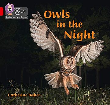 portada Owls in the Night: Band 02b (en Inglés)
