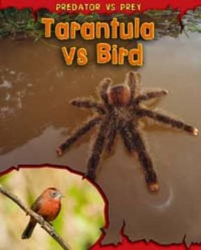 portada Tarantula vs Bird (Predator vs Prey)