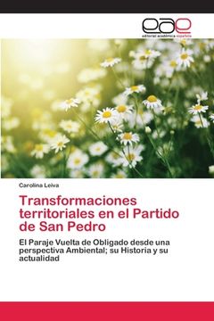 portada Transformaciones Territoriales en el Partido de san Pedro (in Spanish)