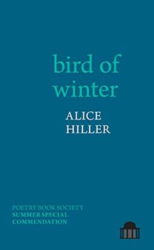 portada Bird of Winter