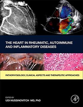 portada The Heart in Rheumatic, Autoimmune and Inflammatory Diseases: Pathophysiology, Clinical Aspects and Therapeutic Approaches (en Inglés)