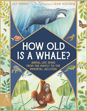 portada How old is a Whale? Animal Life Spans From the Mayfly to the Immortal Jellyfish 