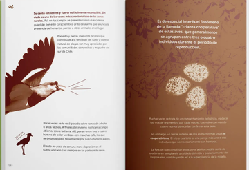 Descolonizar Naturalezas