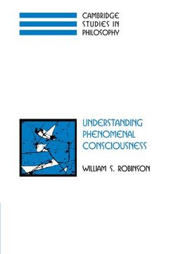 portada Understanding Phenomenal Consciousness (Cambridge Studies in Philosophy) (in English)