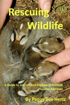 portada Rescueing Wildlife: A Guide to Helping Injured & Orphaned Animals