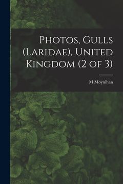 portada Photos, Gulls (Laridae), United Kingdom (2 of 3)